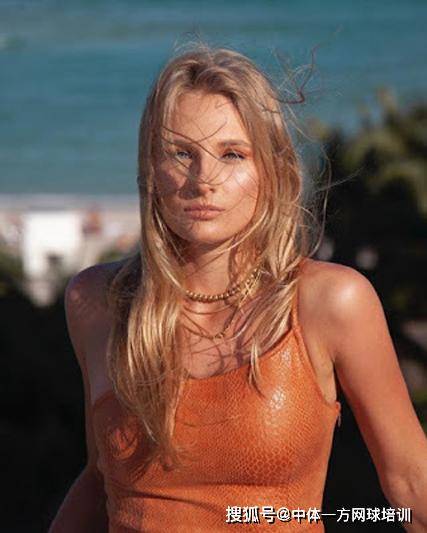 厂现有阵容 厂现有阵容